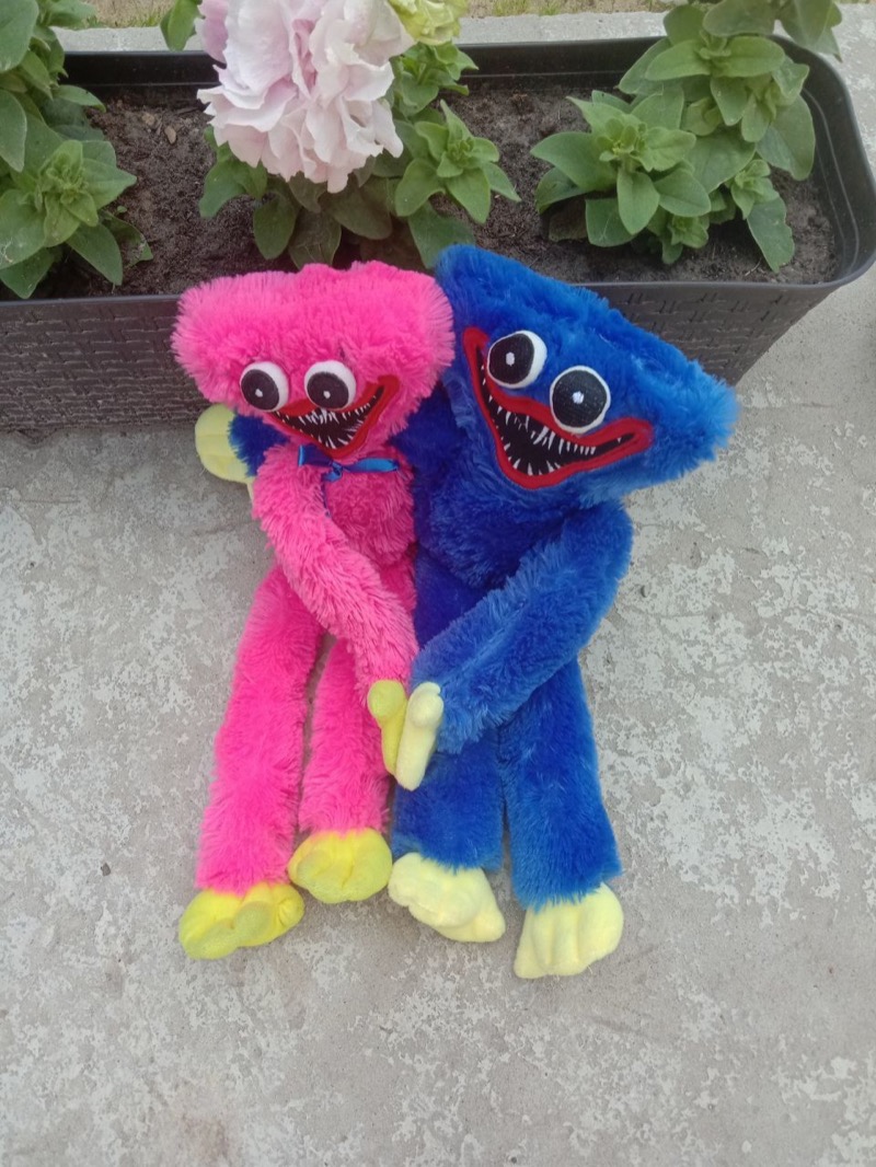 Хагги Вагги и Кисси Мисси